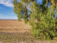 El-Aïoun.onderweg