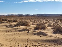 Zandduinen