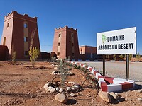 domein aroma de desert