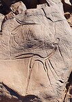 katapult antilope