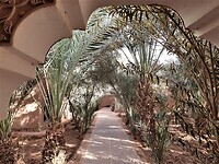 Hamada du Draa tuinpad
