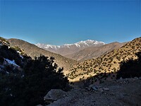 Tigdetmassief