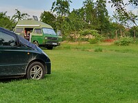 Lotus Mellows op de camping