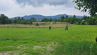 breb door het veld