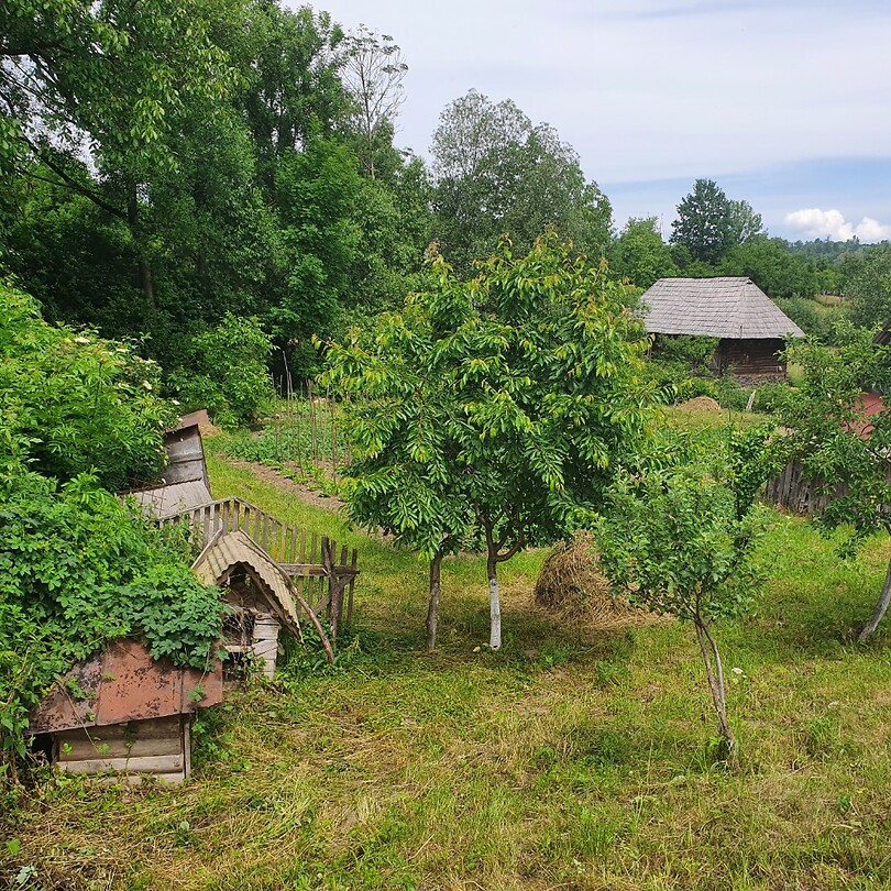 breb groentetuin en grasland
