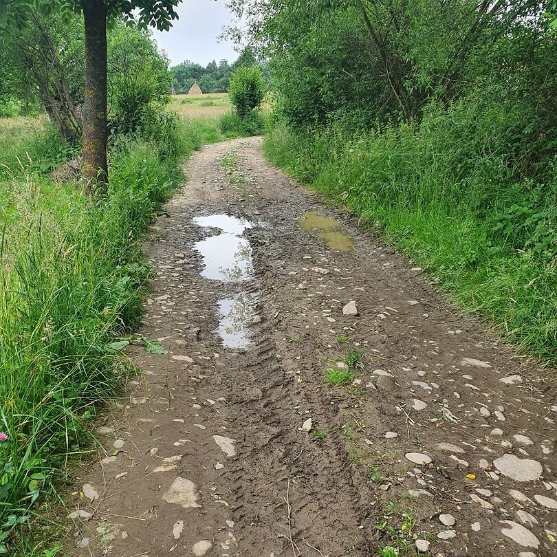 breb modderweg