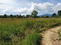 breb tussen de velden
