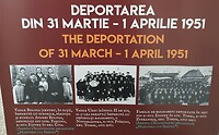 deportatie april 1951