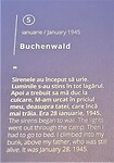 elie wiesel buchenwald