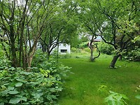 de tuin van (pension) agnes