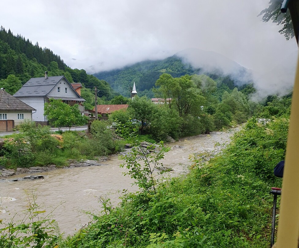 dorpje novat