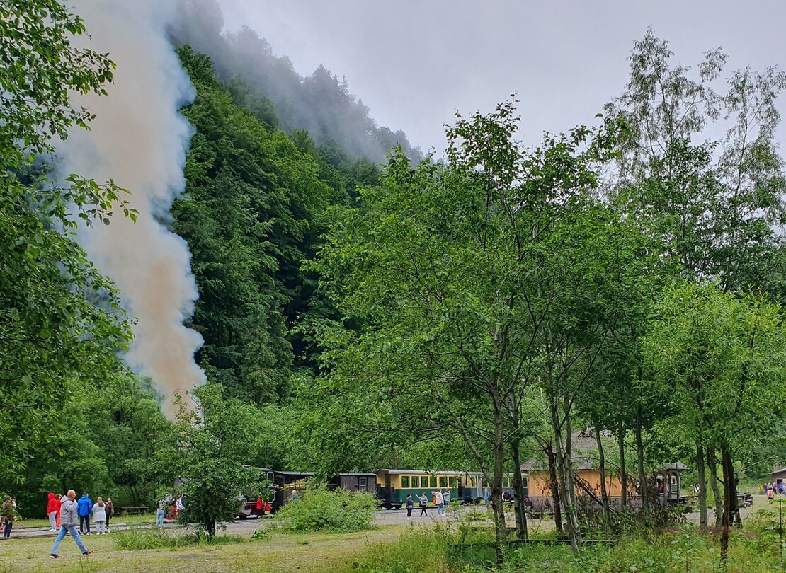 halte paltin eindpunt
