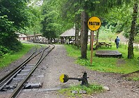 halte paltin