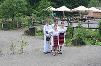 welkom in paltin