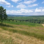 groen moldavië