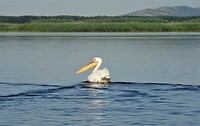 donaudelta ik ga er vandoor