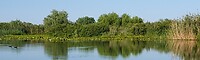 donaudelta natura 2000