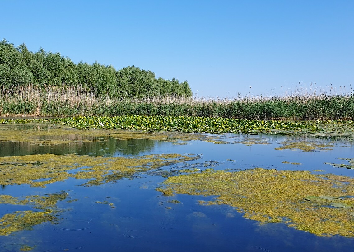 donaudelta biosfeer