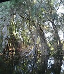 donaudelta sprookjesachtig