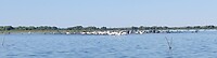 donaudelta visplek
