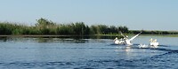 donaudelta wegwezen