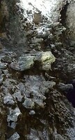 DSC05210 (2)