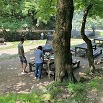 rotsen solomon picknick