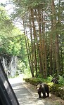 DSC05278 (2)