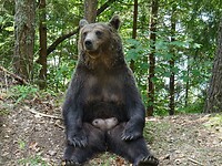 DSC05280
