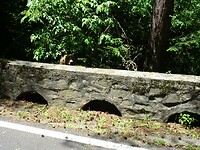 DSC05295