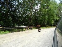 DSC05301