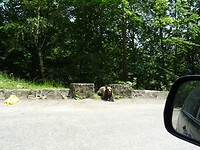 DSC05309