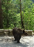 DSC05314 (2)