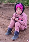 Amira