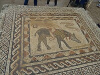 volubilis mozaiek paardrijder