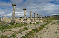 zuilengang volubilis