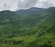 1000018437
