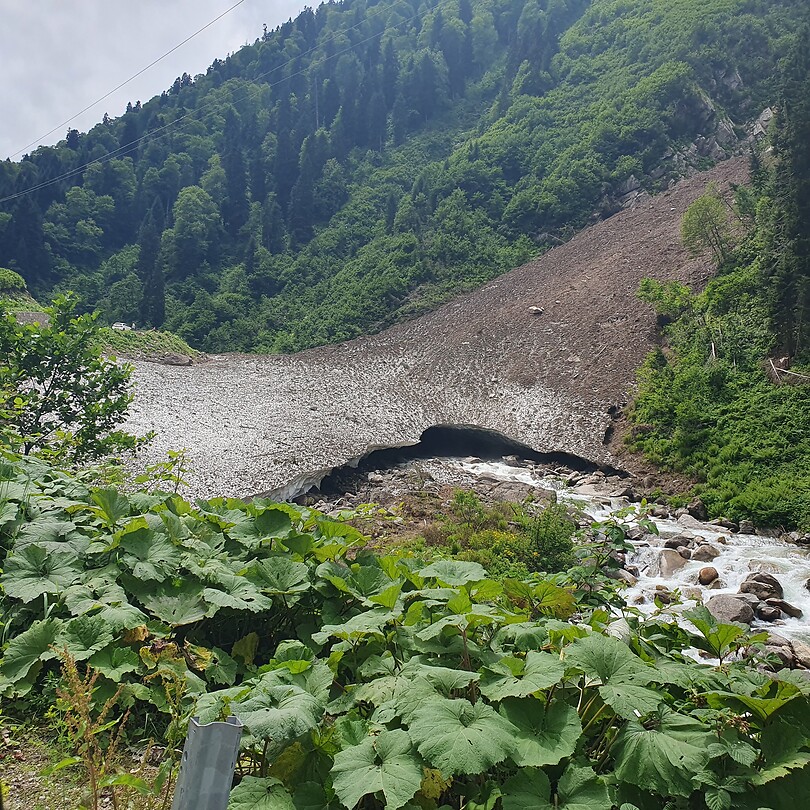 1000018931