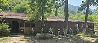 1000019006