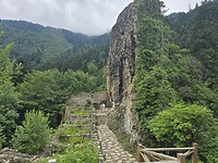 1000018781