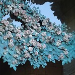catalaanse bloemen