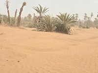 joudour sahara de woestijn bij de buren