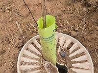 joudour sahara growsafe