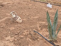 joudour sahara het kruikenplan