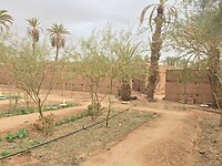 joudour sahara wadi 1