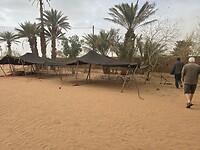 joudour sahara zitje