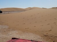 DSC07416