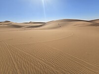 Zandduinen Erg Zahar