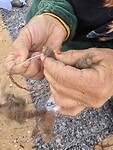 Handwerk