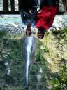 Mooie waterval zomaar langs de weg